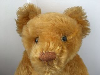 Vintage Alpha Farnell Teddy Bear Large Size 28 Inches 2
