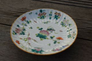 A Chinese Famille Rose Porcelain Plate With Tongzhi Mark & Period 2 3