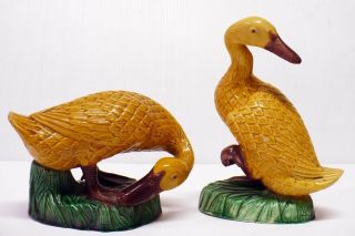 Antique Chinese Yellow Majolica Duck Figurines Marked China