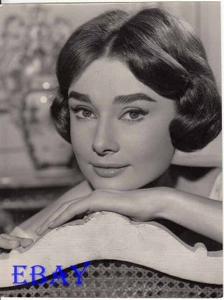 Audrey Hepburn Rests Her Chin On Her Arms Vintage Photo Love In The Afternoon
