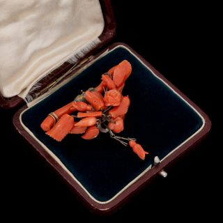 Antique Vintage Georgian 18k Gold Carved Salmon Coral Floral Brooch Scarf Clip