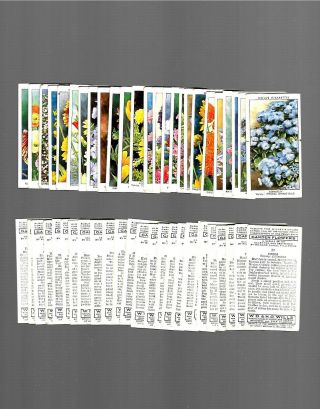 Cigarette Cards.  Wills Tobacco.  Garden Flowers.  (full Set Of 50 Cards).  (1939).