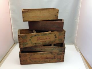 5 Vintage Wood Crate Cheese Boxes Melobit & Swifts Brookfield