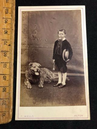 F Vintage 1800s Victorian Wells Alton Boy Hairy Dog B&w Cdv Photo Cabinet Card