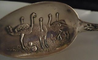 Sterling Souvenir Spoon California Ca Emu Ostrich Eggs Exceptional Detail Silver