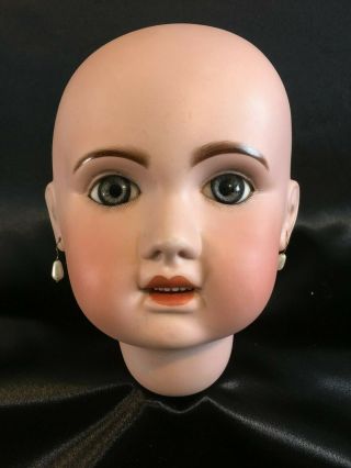 Antique French Jumeau Bisque Doll Head 8 "