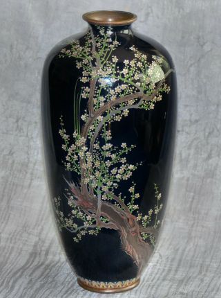 Very Fine Large Japanese Cloisonne Vase With Flowering Branches - Signed