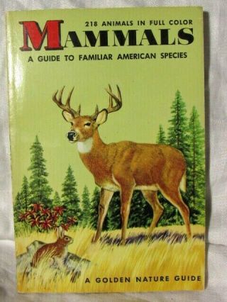 Mammals: A Golden Nature Guide 1955 First Edition 218 Color Pictures Vintage Ex