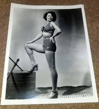Sarah Douglas Vintage 8 X 10 Photograph From Irving Klaws Archives 3