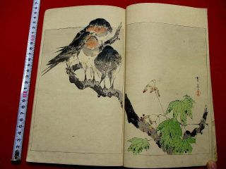 1 - 15 Bijyutsu Sekai 25 Seitei Bird Japanese Woodblock Print Book