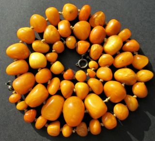 Antique Natural Butterscotch Egg Yolk Baltic Amber Beads Necklace 54g.