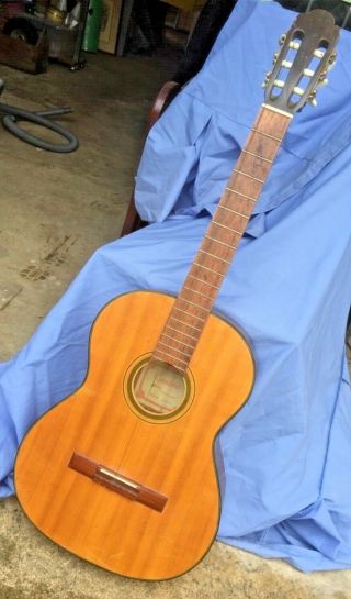 Vintage Canora Classical Acoustic Guitar Model 551