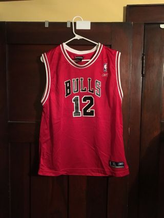 Kirk Hinrich Chicago Bulls Reebok Red Jersey - Youth XL 2