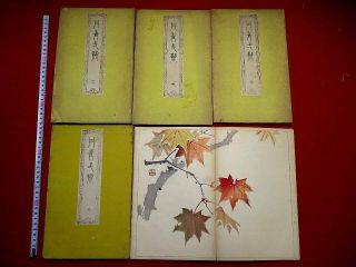 4 - 70 Japanese Tansei Ehon Woodblock Print 5 Book