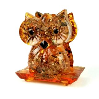 Vintage Lucite Resin Acrylic Shell Owl Napkin Holder Mid - Century Retro Kitschy