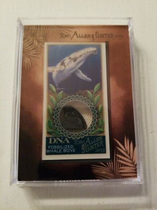 2019 Topps Allen & Ginter Framed Dna Relic Fossilized Whale Bone 6/25 Ssp