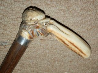 Antique Walking Stick W/ H/M Silver Collar & Hand Carved Jockey Head Handle 1929 2