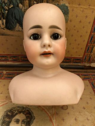 Antique German Early Simon & Halbig Doll Head.  Head Only