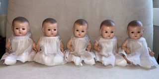 Five Antique 11 " Madame Alexander Dionne Quintuplet Dolls,  Composition Bodies