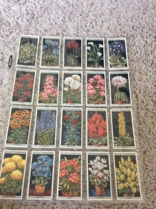 1925 W.  D.  & H.  O.  Wills Flower Culture In Pots Series of 50 2