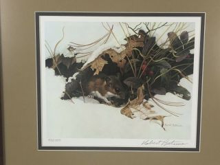 White Footed Mouse In Wintergreen Vintage Art Robert Bateman Signed