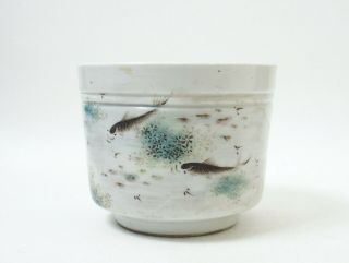 Fine 20th Century Chinese Small Porcelain Jardiniere - Fish