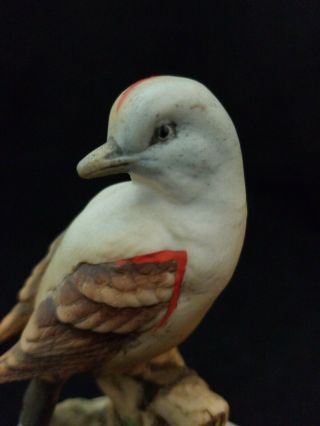 Vintage Lefton 5” Hand Painted Porcelain Flycatcher Bird Figurine KW1184 Japan 2