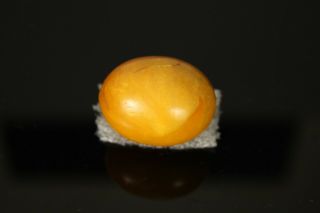 A 10.  6 gram single amber bead ' egg yolk butterscotch ' 2