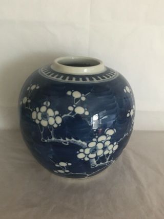Antique Chinese Blue Prunus Ginger Jar 5”/12.  5cm Hight Aprox Double Ring On Base