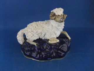 Antique 19thc S Alcock Staffordshire Porcelain Figure Of A Sheep C1835 Ex.  D Rice