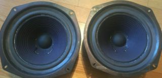 Vintage 10 " Woofers From " The Advent 2 " Speakers,  Foam