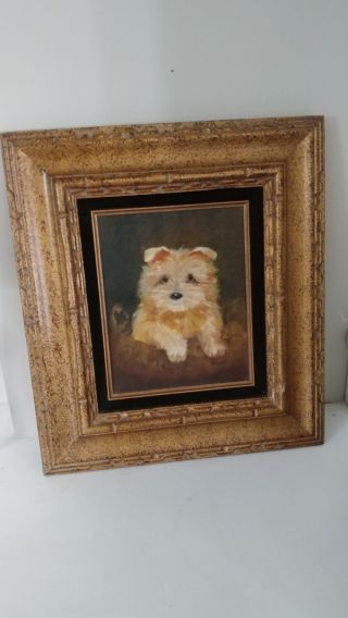 Antique Oil Painting (norfolk ?) Terrier Dog,  After Maud Earl Period
