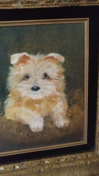 ANTIQUE OIL PAINTING (Norfolk ?) TERRIER DOG,  AFTER MAUD EARL period 2