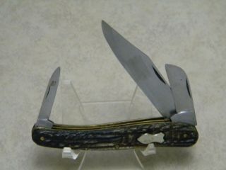 Vintage A.  W.  Wadsworth And Son Austria Jigged Bone 3 Blade Folding Knife