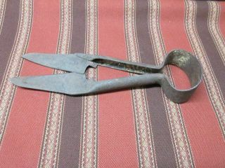 Vintage Sheep Shears - 9 " Overall - 3 - 5/8 " Cutting Edges