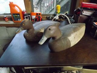Vintage Duck Decoys By Decoys Unlimited,  Rd 5,  Wattsburg Road,  Erie,  Pa