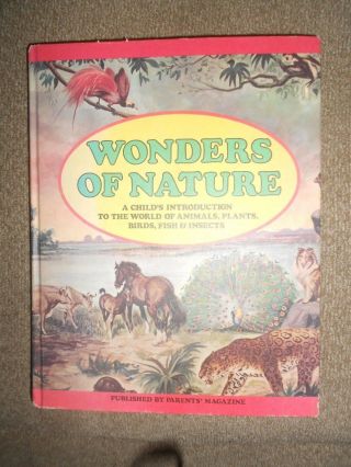 Wonder Of Nature - A Child 