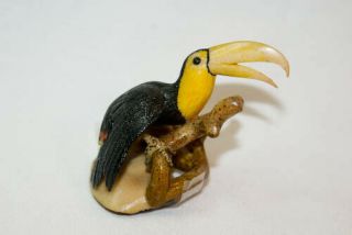 Vintage Tagua Nut Art Wounaan Panama Toucan Parrot Art Signed Memborad 16