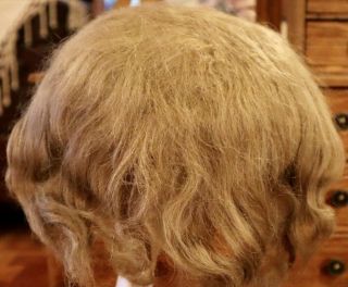 26 Antique 14 - 15 " Mohair Doll Wig For Antique French / German Bisque Doll