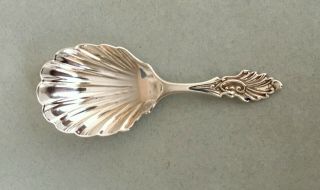 Antique 1906 Sterling Silver Tea Caddy Spoon Scalloped Bowl Williams & Co