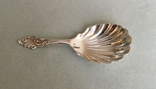 ANTIQUE 1906 STERLING SILVER TEA CADDY SPOON scalloped bowl Williams & Co 2