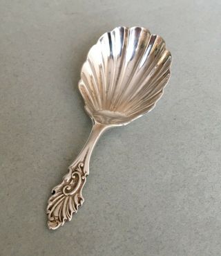 ANTIQUE 1906 STERLING SILVER TEA CADDY SPOON scalloped bowl Williams & Co 3