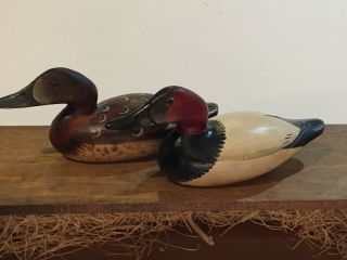 Miniature Mason`s Canvasback Duck Decoys By T.  J.  Hooker 77 Of 500