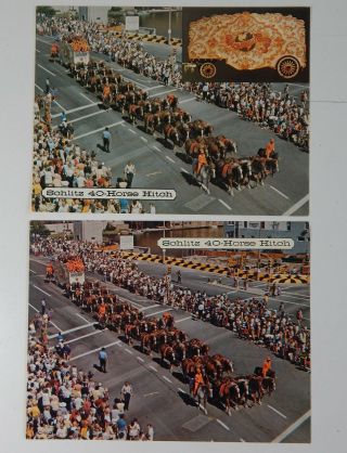 Schlitz 40 - Horse Hitch Circus Parade Bandwagon Photo Card 2 Versions Vtg 1970 