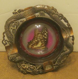 Antique Oriental Detailed Solid Copper Ashtray W Preserved Butterfly In Center