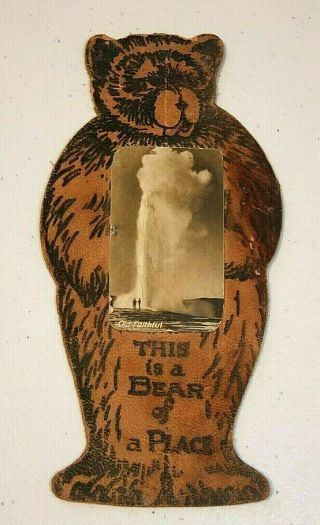 Vintage Leather Bear - Shaped Postcard W/real Photo Of Old Faithful,  Yellowstone