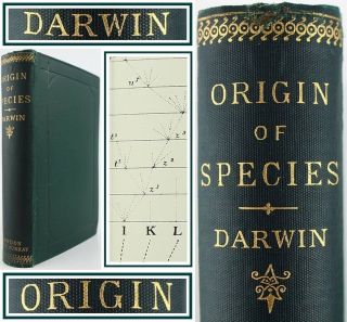 Antique Origin Of Species Darwin 1888 Sixth Ed Murray London