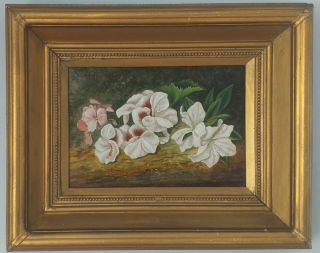 Still Life Antique Oil Painting.  Flowers On Bank.  French School,  C1900