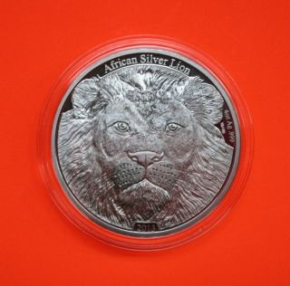 AFRICAN LION 4 Oz.  Ag.  999 Silver Coin 5000 Francs CFA Congo 2013 Antique Finish 2