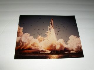 Vintage Nasa Space Shuttle Challenger " The Birds " Launch Kodak Color Photo
